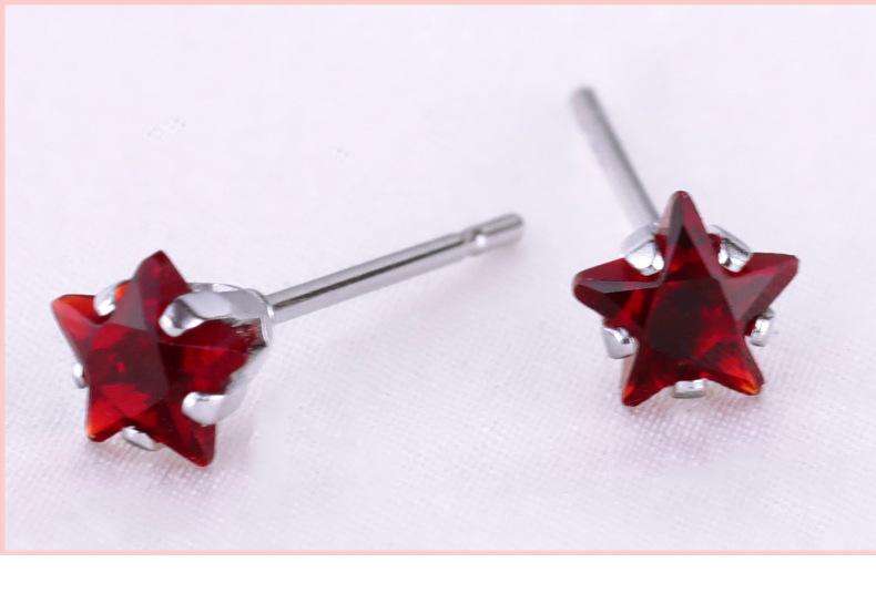 锆石五角星耳钉_14.jpg