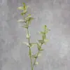 Planta artificial impresión 3D color flor de eucalipto material a juego flor artificial hoja de dinero hoja de flor artificial decoración del hogar