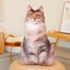 Juguete de Peluche de Gato Simulado con Estampado de Gato, Muñeco de Peluche Durmiente, Juguete de Peluche para Niños