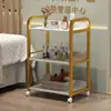 Carrito para Salón de Belleza, Carrito Pequeño para Salón de Belleza, Carrito para Equipo de Tatuaje, Carrito de Almacenamiento Móvil, Carrito de Herramientas para Salón de Peluquería