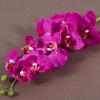 Pano de lã artificial Phalaenopsis 9 cabeça grande Phalaenopsis comércio exterior Phalaenopsis flor falsa atacado sentimento de mão Phalaenopsis orquídea Phalaenopsis