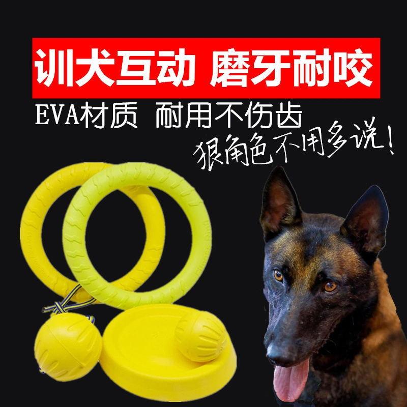 10414324149_1581603375.jpg__看图