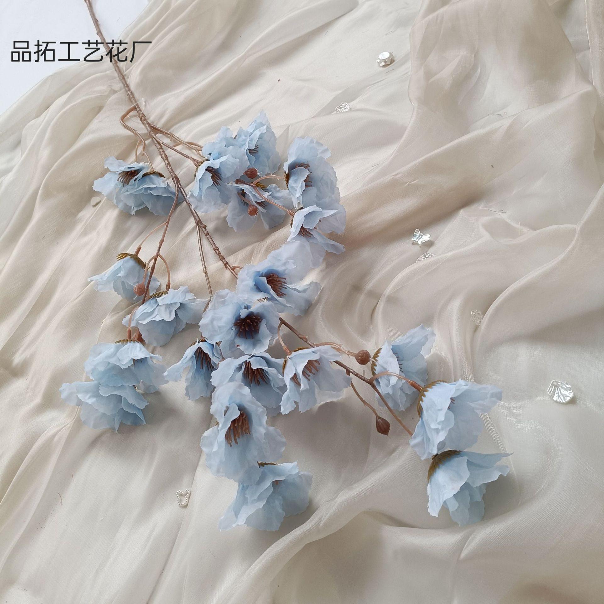 f8cfc6ad0dbdcbad465c227198f005