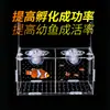 Caja de aislamiento acrílica para acuario, caja de cría para guppies, caja de incubadora para tortugas, alevines, peces betta, peces tropicales y peces pequeños