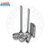 3056 1106 Anel de Sede de Válvula Adequado para Motor Platinum Scat
