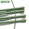 Maceta para Plantas Florero Soporte para Flores Combinación Pérgola Trepadora para Rosas Clematis Flor de la Mañana Florero