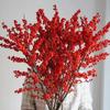 Ramas de Acebo Norteamericano Importado de Alta Calidad Recién Cortadas Planta Hidropónica Ramo de Flores Frutos Rojos Cultivado en Agua Interior Floresales de Año Nuevo Floresales Reales