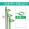 5 Hastes de Suporte para Plantas para Orquídeas, Proteção de Folhas, Monstera, Caladium, Estrutura de Suporte para Jardinagem, Fixação Antiderrapante para Flores