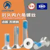 Tornillos de Acero Inoxidable 304 Personalizados con Cabeza Avellanada Hexagonal con Adhesivo Azul Antiaflojante Tornillos y Pernos M2M3M4-M10