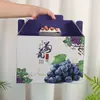 Caixa de Embalagem de Uvas de Tamanho Grande Universal, Caixa de Presente de Uvas Portátil com Casca Dura, Caixa de Embalagem Externa de Frutas para Presente de Feriado de Alta Qualidade