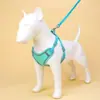 Nuevo Arnés para Mascotas Estilo Chaleco de Primavera y Otoño, Correa para Perros Fresca y Transpirable para Perros Pequeños y Medianos, Correa de Tracción para Perros Reflectante