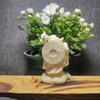 Buda Maitreya Bodhisattva tallado en fruta de marfil, Buda Maitreya gratis, 9,5 x 5,2 x 3,7, caja de regalo para decoración del hogar, venta al por mayor