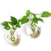 Maceta Colgante para Planta de Aire Florero Contenedor para Planta de Aire Contenedor para Planta Colgante de Pared
