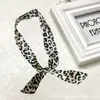 Lenço de Seda Longo Pequeno Versátil Gravata Bolsa com Fita de Laço Fita de Cabelo Decoração de Caixa de Presente Lenço Fino Estreito Chanfrado Lenço Pequeno
