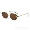 Gafas de Sol Retro Europeas con Laca de Leopardo y Templo Metálico Sin Montura para Mujer, Moda de Alta Gama, Estilo Nuevo, Gafas de Sol Transfronterizas para Hombre