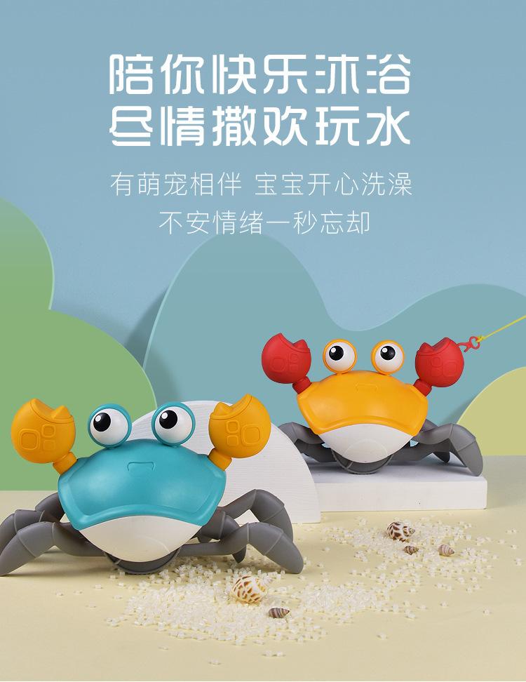 水陆螃蟹
