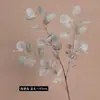 Hojas de Eucalipto Artificiales de Dinero para Fotografía al Aire Libre, Decoraciones de Boda, Decoración del Hogar y Vegetación Falsa