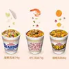 Versión japonesa de NISSIN Cup Noodles nuevo sabor fideos ramen instantáneos en vaso