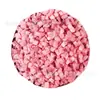 Ori Garden Cubos de Frutas Liofilizadas Personalizados OEM Cubos de Manga Assada Lanches de Pitaya Fábrica Processamento