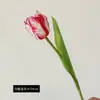 Ramo de flor de tulipán de loro de un solo tallo para decoración de escenas, tulipán de alta gama para uso en bodas, flores artificiales
