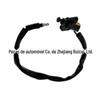 Interruptor de luz da moldura da porta 485588C1 20561930-101 901-5131 aplicável ao internacional 90-02