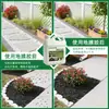 Cola para Mulch Base de Água Componente Único Adesivo para Filme de Mulch para Fixação de Cascalho em Superfícies de Estrada, Caminhos Pequenos, Canteiros de Árvores e Cola para Cobertura de Casca Venda por Atacado