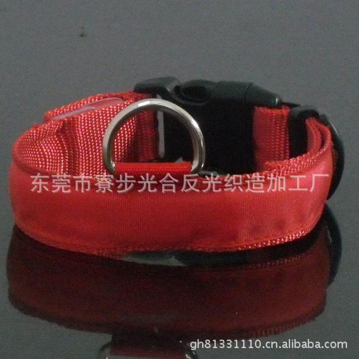 SDC15519