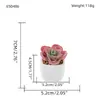 Oferta Especial do Fabricante: Plantas Suculentas Artificiais em Vasos de Cerâmica para Mesas de Escritório Internas, Pequenas Plantas Verdes em Vasos, Flores Artificiais, Plantas Suculentas em Vasos