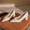 Sapatos de Salto Alto para Mulheres na Primavera, Bico Fino, Versátil, de Luxo, Não Cansativos, com Saias e Cheongsam, Saltos Grossos, Sapatos Mary Jane Franceses