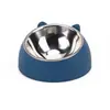 Etiqueta Transfronteiriça Tigela Pequena de Aço Inoxidável para Gatos, Tigela Pequena para Filhotes, Tigela Inclinada de Plástico para Água e Comida de Animais de Estimação, Suprimentos para Gatos e Cachorros