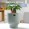 Vaso de Cerâmica Grande com Bandeja para Uso Doméstico, Design Criativo e Único para Plantas Verdes, Clorofito e Suculentas