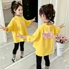 Camiseta de Manga Longa de Algodão Puro para Meninas Primavera e Outono, Nova Blusa Casual Solta com Desenho para Crianças Maiores, Camiseta Básica de Gola Redonda Infantil