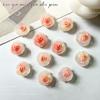 Nueva joyería para uñas de Camelia con degradado floreciente, piel luminosa con sensación de floración, accesorios de resina tridimensional de flor de rosa silvestre
