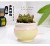 Vaso de flores pequeno criativo suculento com esmalte de fluxo, respirável, para polegar, vaso de flores pequeno, simples e fresco, com mudança de forno, vaso de flores de cerâmica para plantas suculentas coloridas