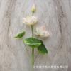 Plantas Artificiales de Loto y Nenúfar en Maceta para Estanque, Decoración de Acuario, Accesorios para Escenario y Eventos, Adornos de Hojas de Loto, Flores Falsas