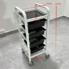 Novo Carrinho de Cabeleireiro, Carrinho de Ferramentas para Salão de Beleza, Carrinho de Cabeleireiro Multifuncional, Carrinho para Permanente e Coloração de Barbearia, Carrinho de Armazenamento