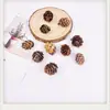 Pendientes de Planta Fruta Bellota Hechos a Mano DIY Fruta Pendientes Personalizados Creativos Material Chica Linda Pendientes Retro