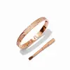 [02] calidad de alta gama tarjeta hogar diez estrella de diamante destornillador pulsera de acero de titanio serie amor pulsera para hombre y mujer