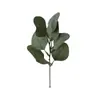 Follaje Artificial, Hojas de Eucalipto Falsas, Arreglos Florales de Plástico, Decoraciones de Flores de Seda, Hojas de Eucalipto de Tallo Único para Fotografía, Venta al por Mayor