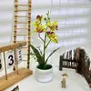 Cuatro Película Impresa Orquídea Rosquilla Bonsái Decoración de Escritorio de Oficina Flor Artificial Arreglo en Maceta Accesorios para Fotos