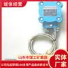 Sensor de Temperatura de Mancal de Motor Tipo Pwzd Fonte de Fornecimento de Fábrica Estrutura do Sensor de Temperatura de Mancal de Motor