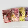 Bolsa de Souvenir Personalizada con Flores Secas Mixtas Marco de Fotos DIY Hecho a Mano Ventilador Bolsa de Materiales de Flores Inmortales Naturales Evento de Calentamiento