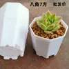 Macetas gruesas para suculentas, varios tamaños, macetas octogonales de plástico, al por mayor para uso doméstico, plantas en maceta, esquejes de hoja, macetas para plántulas, al por mayor por pieza