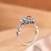 Anillo Yuhong Retro Moneda Antigua Plata Pixiu Incrustado con Rojo del Sur Ajustable Anillo Femenino Estilo Étnico