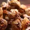 Hongos Matsutake Especiales de Yunnan, Suministro Mayorista Directo, Hongos Shiitake Comestibles de Brasil, Venta Directa desde el Lugar de Origen, Gran Volumen de Ventas, Precios Favorables