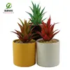 Maceta de planta suculenta artificial maceta falsa de aloe decoración plato de pegamento suave flor de plástico comercio exterior Venta al por mayor