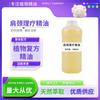 Aceite Esencial Compuesto para Fisioterapia de Hombro y Cuello, Masaje de Espalda, Gua Sha, Masaje de Cuerpo Completo, Calentamiento, Revitalizante, Ingredientes Herbales, Aroma Herbal