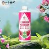Los fabricantes suministran ocho soluciones nutritivas especiales para buganvilias, fertilizante para plantas de interior en maceta, tipo general para plantas con flor