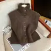 Recomendación de estilo de autosujeción~ Chaleco de punto de cuello alto retro de un solo botón para mujer, nuevo para otoño e invierno, suéter suave y pegajoso para capas