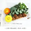 Kit de Materiales DIY de Flor Seca para Aromaterapia sin Fuego, Piñas Secadas al Aire, Canela, Ornamentos de Fragancia Natural de Planta Hechos a Mano para Decoración